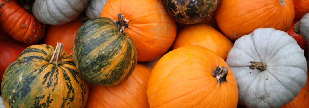Pumpkins! © Jeremy Seitz - Flickr.com (used under CC BY 2.0 – Unmodified)