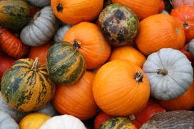 Pumpkins! © Jeremy Seitz - Flickr.com (used under CC BY 2.0 – Unmodified)