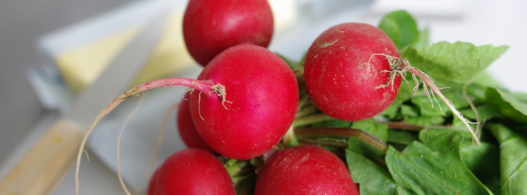 Radieschen Rezepte Kochschule Eppelheim